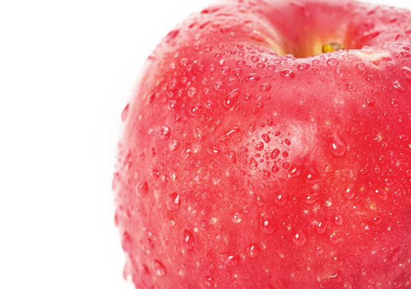 fruits vegetables packing new zealand limited