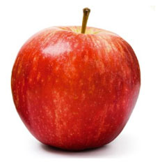 fruits vegetables packing new zealand limited