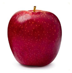 fruits vegetables packing new zealand limited