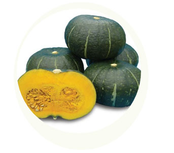 fruits vegetables packing new zealand limited