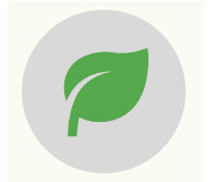 fruits vegetables packing new zealand limited